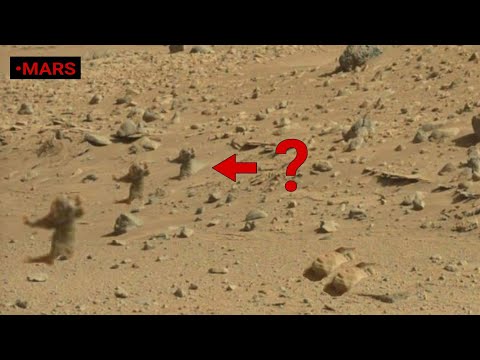 Mars Perseverance Rover Released Gorgeous Pictures- NASA's Curiosity Mission Update [2921 – 2022]